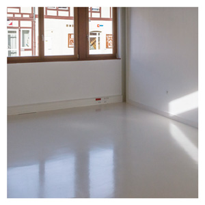 Local professionnel 17 m2 accès plain-pied Strasbourg - Schiligheim