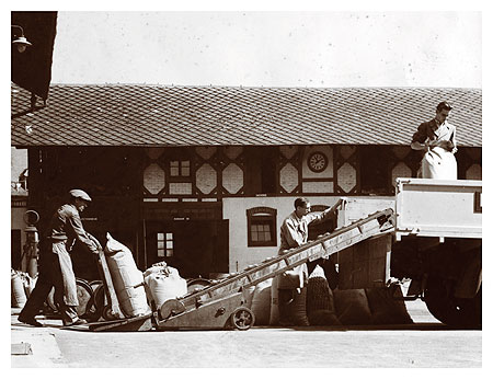 LA SEMEUSE HISTORIQUE - Local professionnel accs plain-pied Strasbourg - Schiligheim