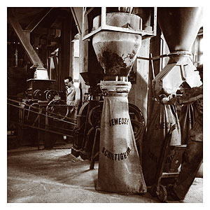 LA SEMEUSE HISTORIQUE - Local professionnel accs plain-pied Strasbourg - Schiligheim