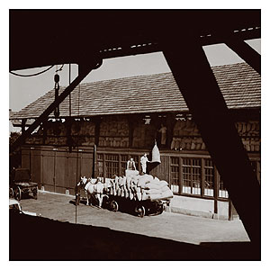 LA SEMEUSE HISTORIQUE - Local professionnel accs plain-pied Strasbourg - Schiligheim