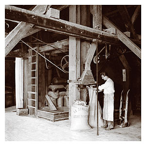 LA SEMEUSE HISTORIQUE - Local professionnel accs plain-pied Strasbourg - Schiligheim